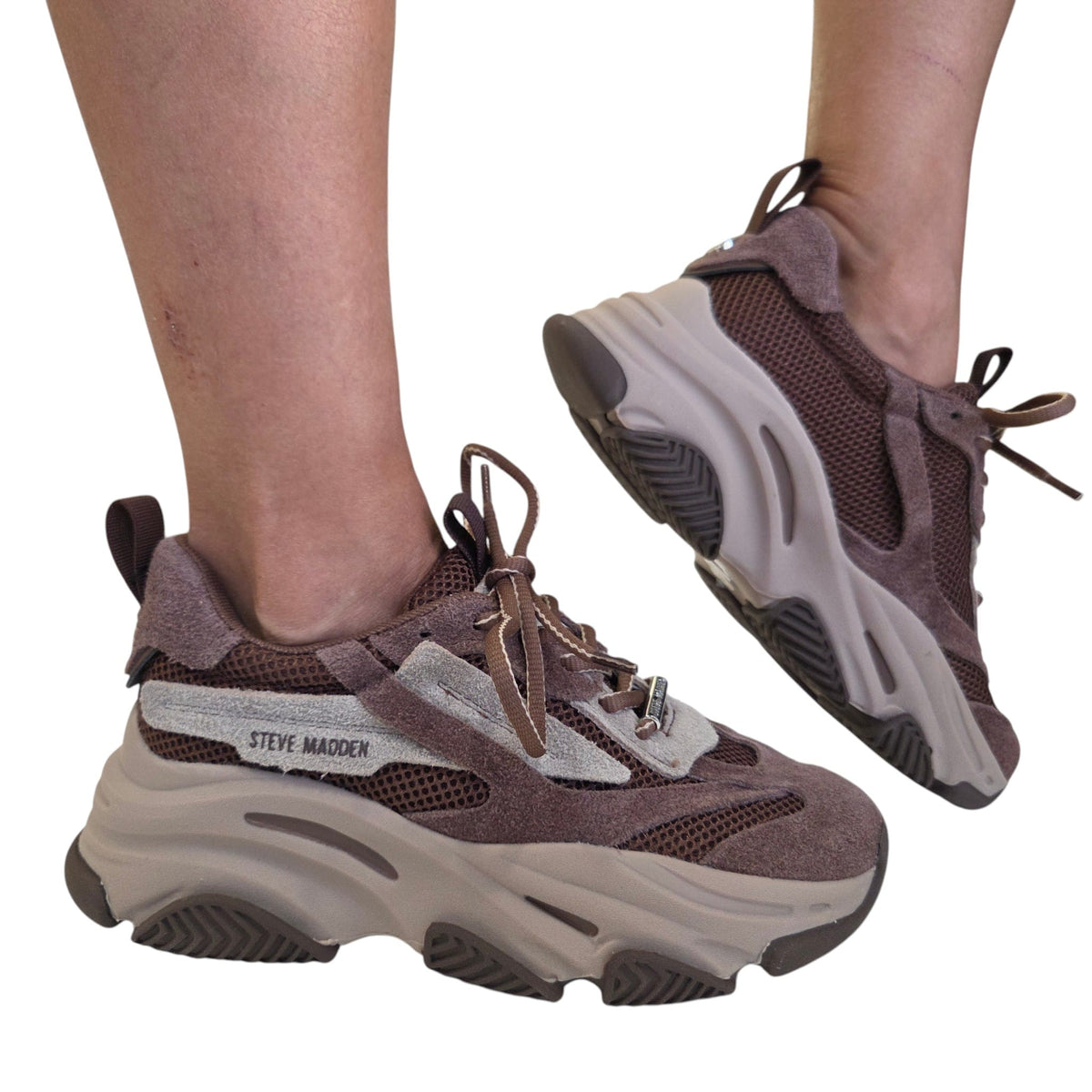 Steve Madden sneakers donna coffee www.offidani.it