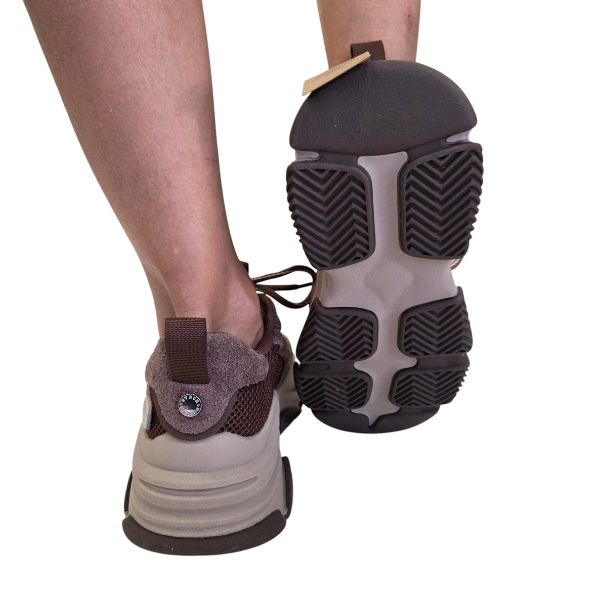 Steve Madden sneakers donna coffee www.offidani.it